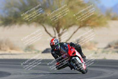 media/Feb-04-2023-SoCal Trackdays (Sat) [[8a776bf2c3]]/Turn 4 (Tree of Life 2pm)/